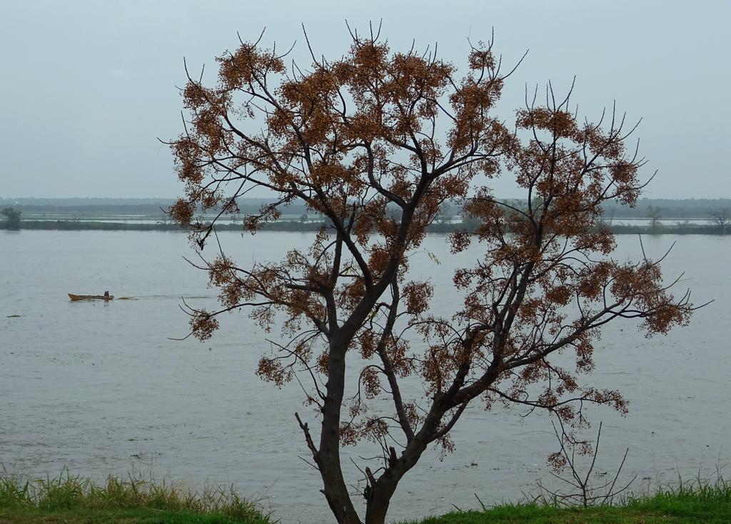 Rio Arriba * Rosario